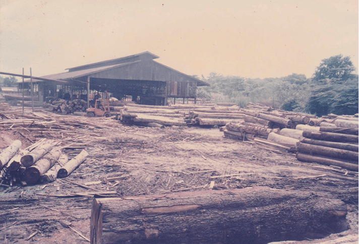 The Global Recession and a Turning Point (1984)